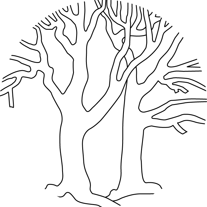 Tree 26 Cool Coloring Page