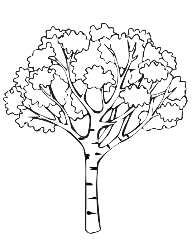 Tree 6 Cool Coloring Page