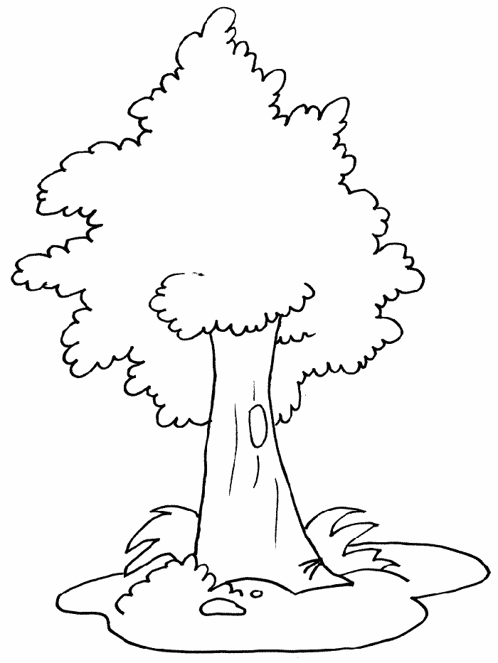 Cool Tree 7 Coloring Page