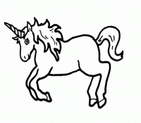 Unicorn 36 Cool