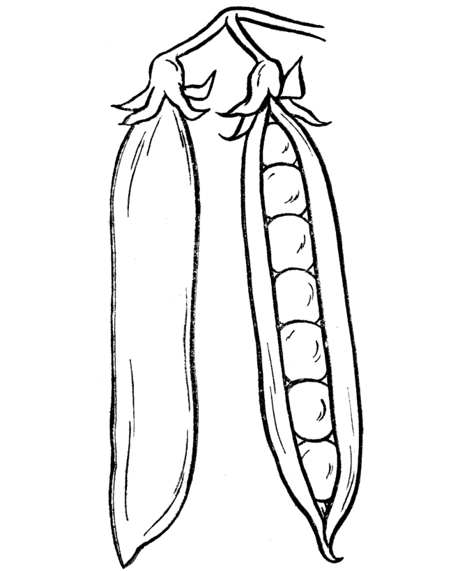 Vegetables 10 Cool Coloring Page