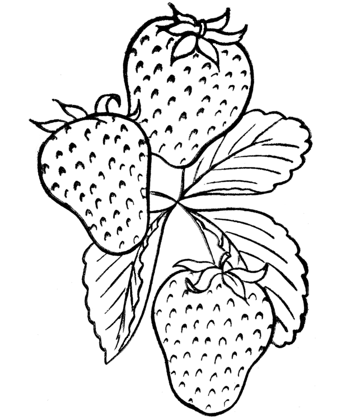 Vegetables 30 Cool Coloring Page
