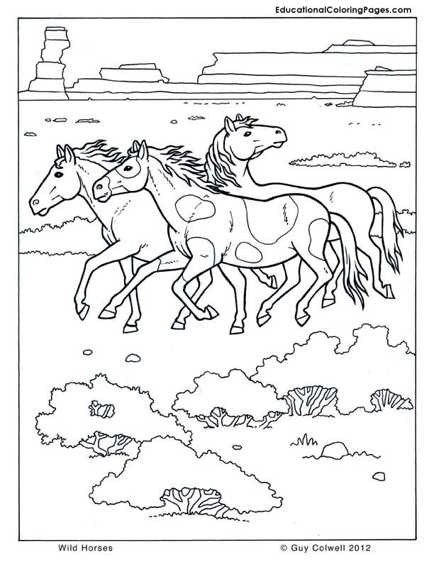 Wild Animal 10 Cool Coloring Page