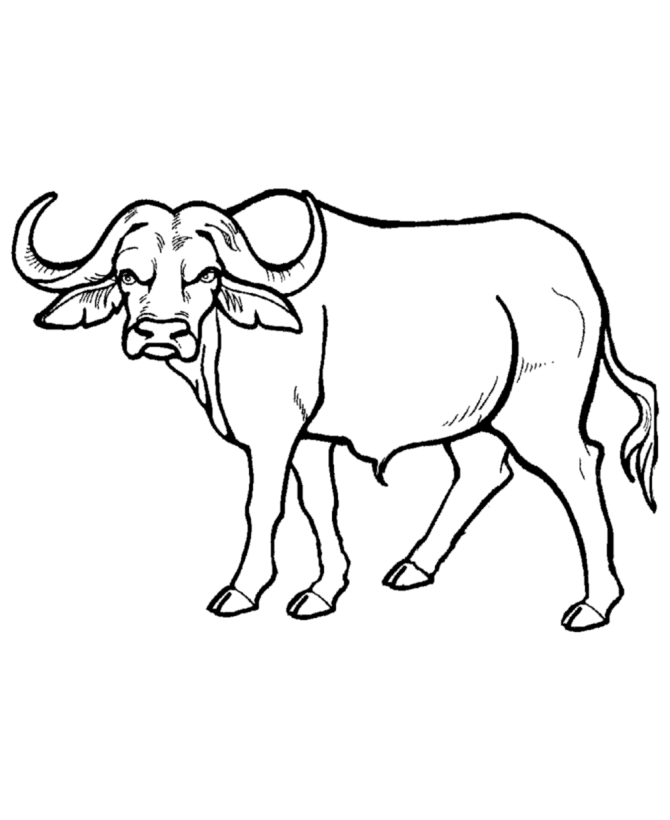Wild Animal 14 Cool Coloring Page