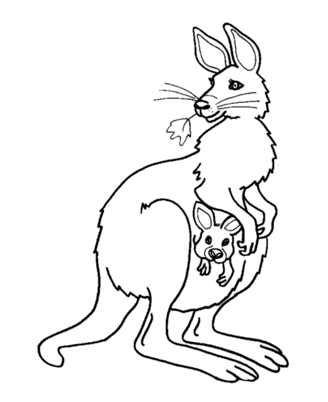 Wild Animal 17 For Kids Coloring Page