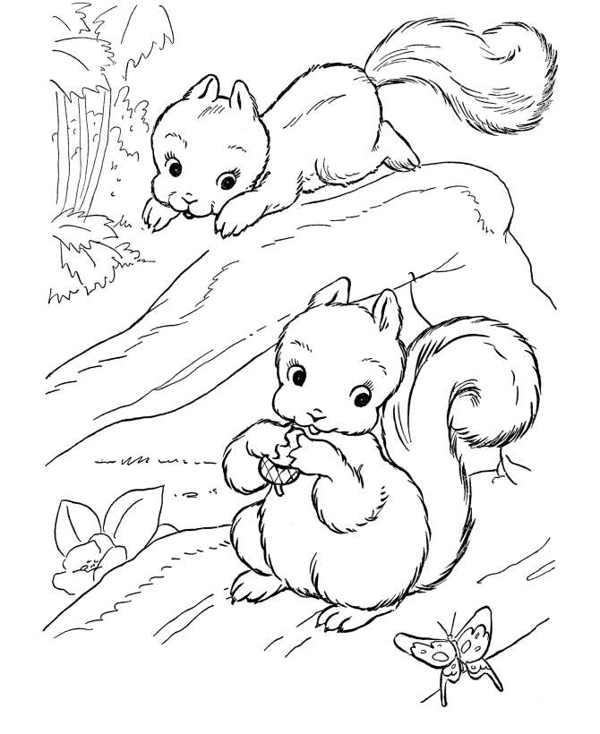 Wild Animal 22 Cool Coloring Page