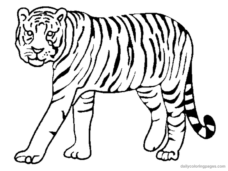 Wild Animal 26 Cool Coloring Page