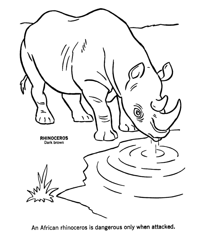 Wild Animal 6 Cool Coloring Page