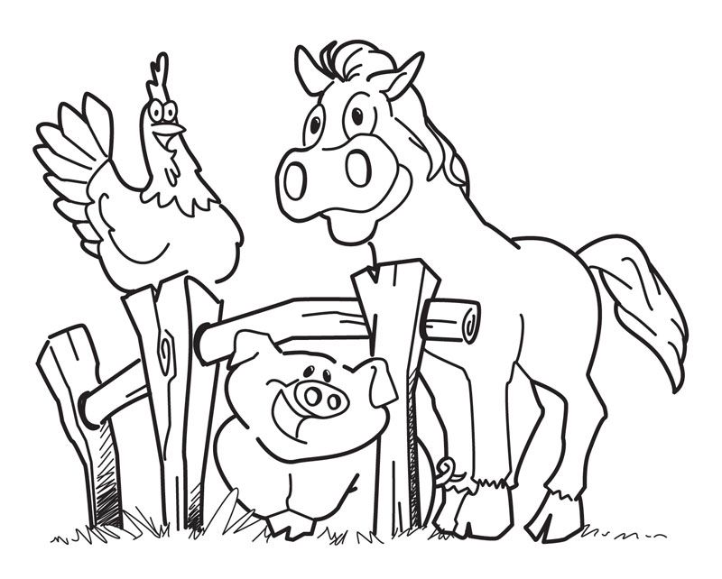 Wild Animal 9 For Kids Coloring Page