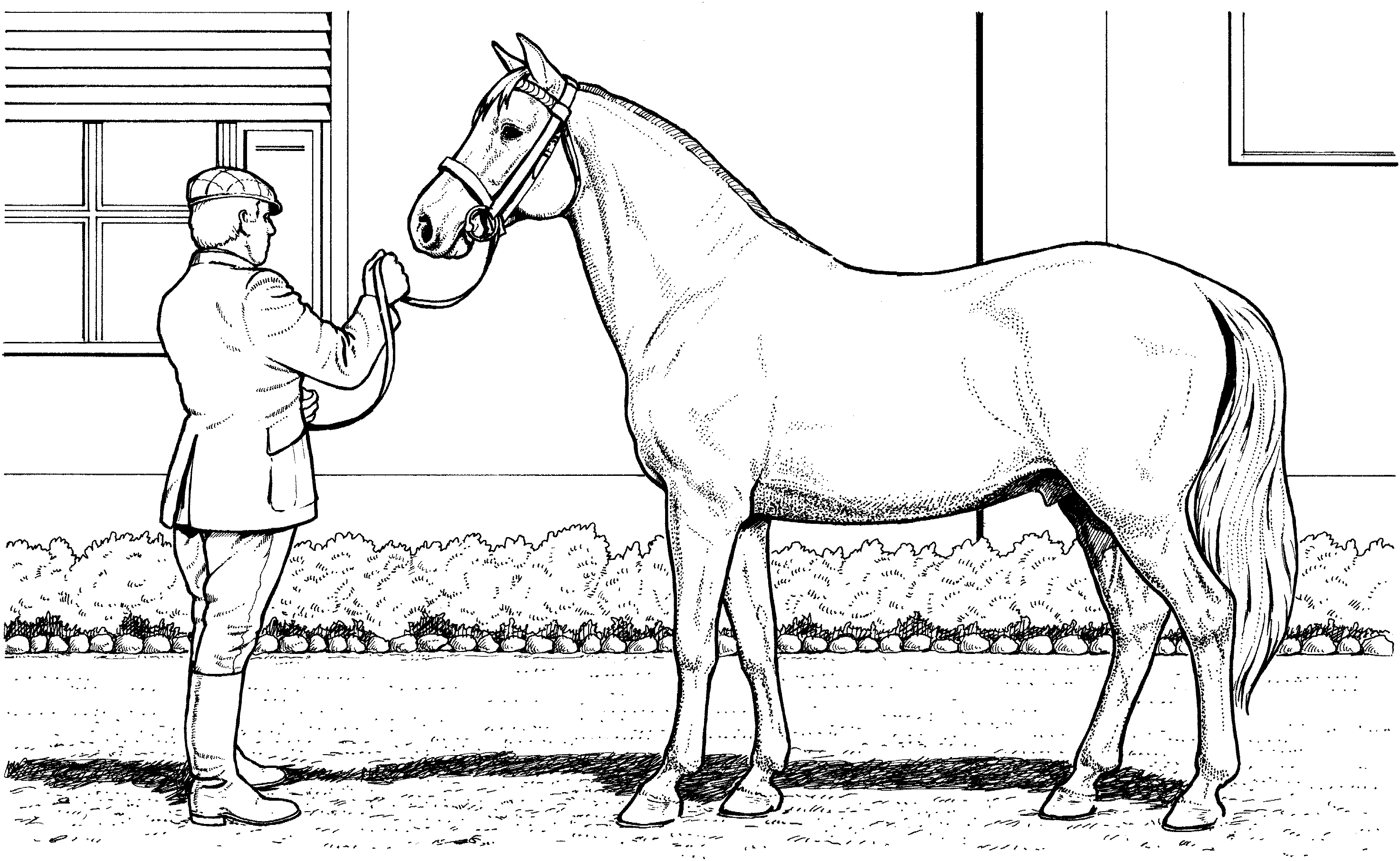 Раскраска лошади в конюшне