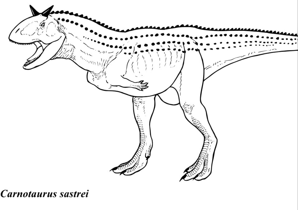 Free Carnotaurus Sastrei coloring page to Print, Download or Color online. 