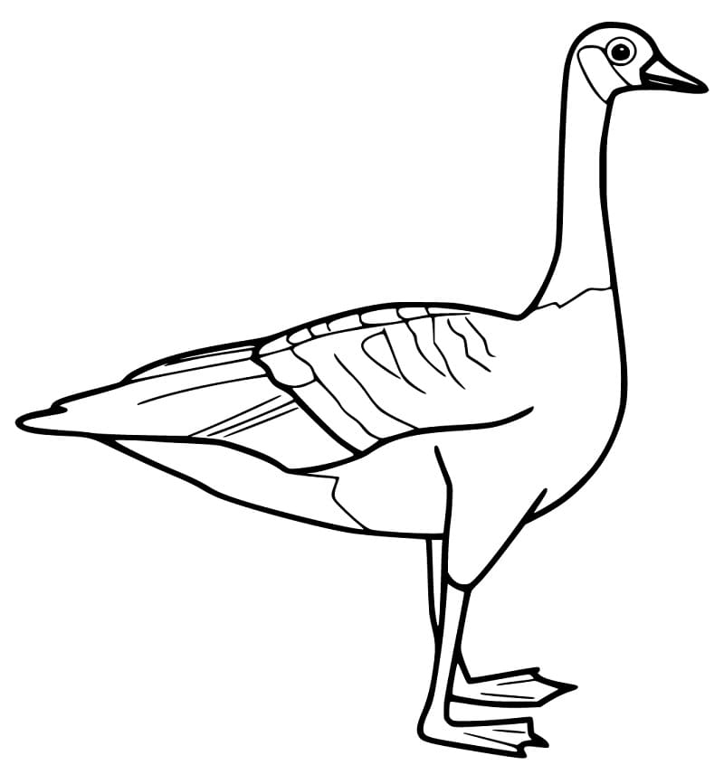 Cartoon Goose Coloring Pages - Coloring Cool