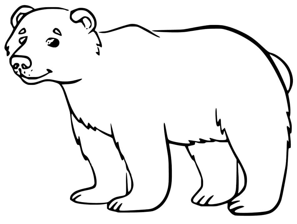 Cute Black Bear Coloring Pages - Coloring Cool