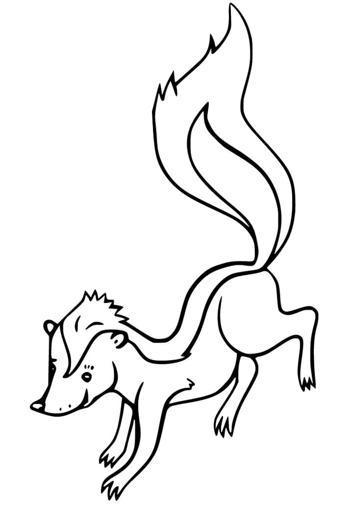 Funny Skunk Coloring Pages - Coloring Cool