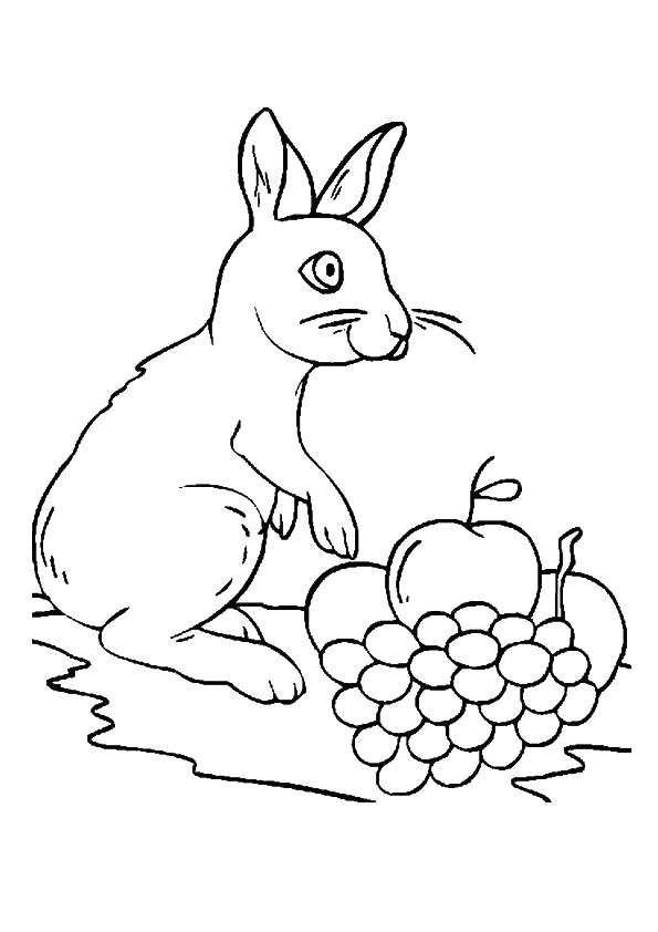 Grapes Printables Coloring Pages Coloring Cool
