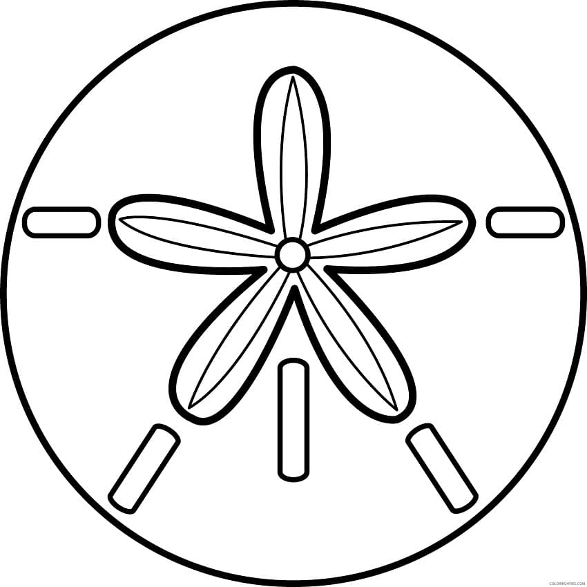 Sand Dollar Printable Coloring Pages - Coloring Cool