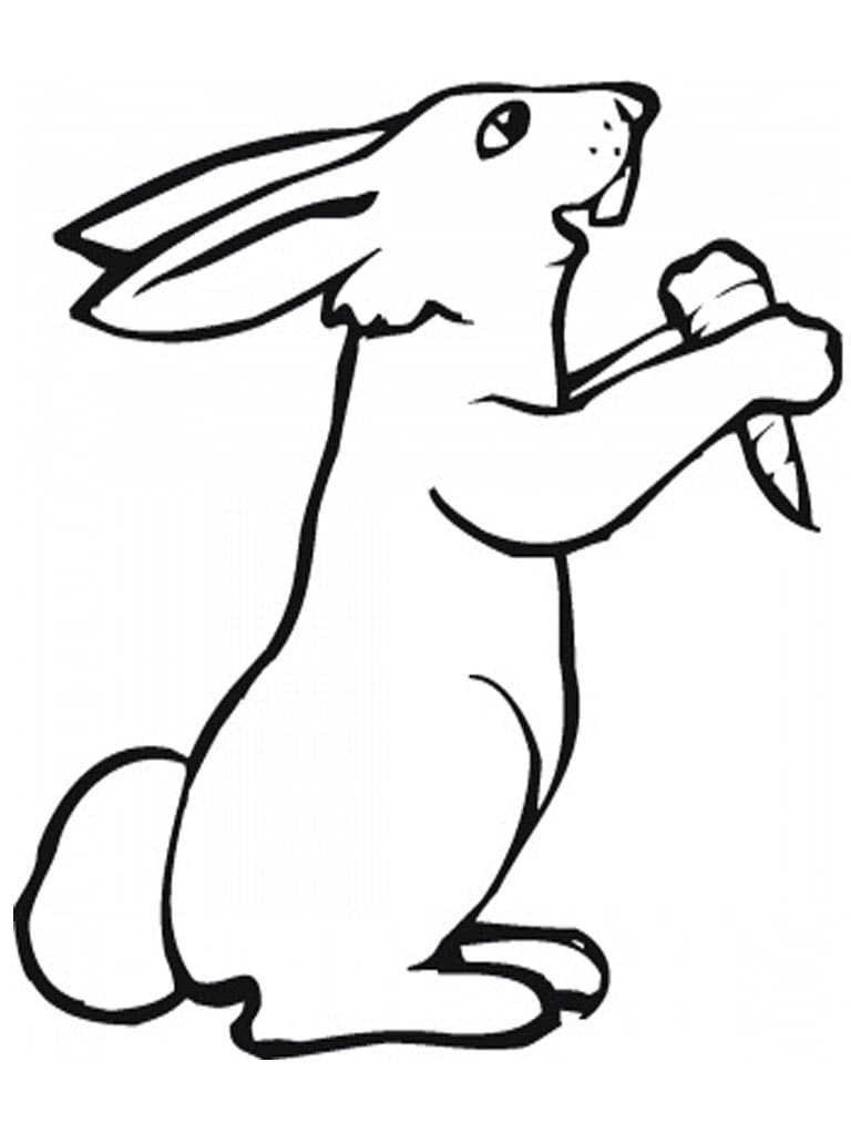 Rabbit with Carrot Coloring Pages - Coloring Cool