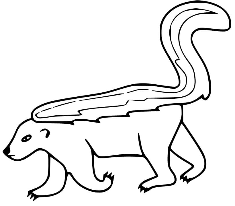 Spotted Skunk Coloring Pages - Coloring Cool