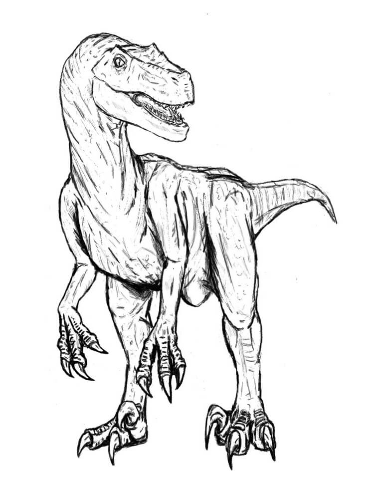 Velociraptor 5 Coloring Pages - Coloring Cool
