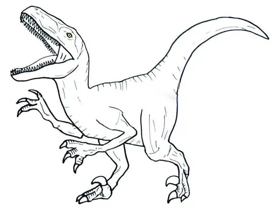 Velociraptor 7 Coloring Pages - Coloring Cool