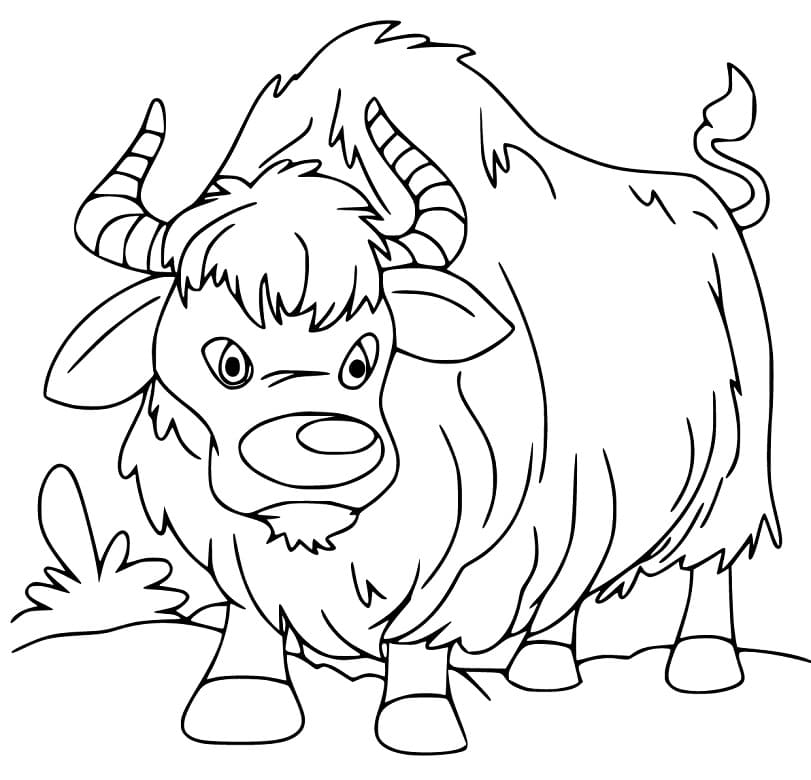 Yak 5 Coloring Pages - Coloring Cool
