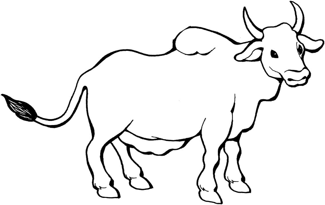 Zebu Coloring Pages - Coloring Cool