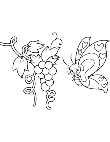 Butterfly And Grapes Coloring Page