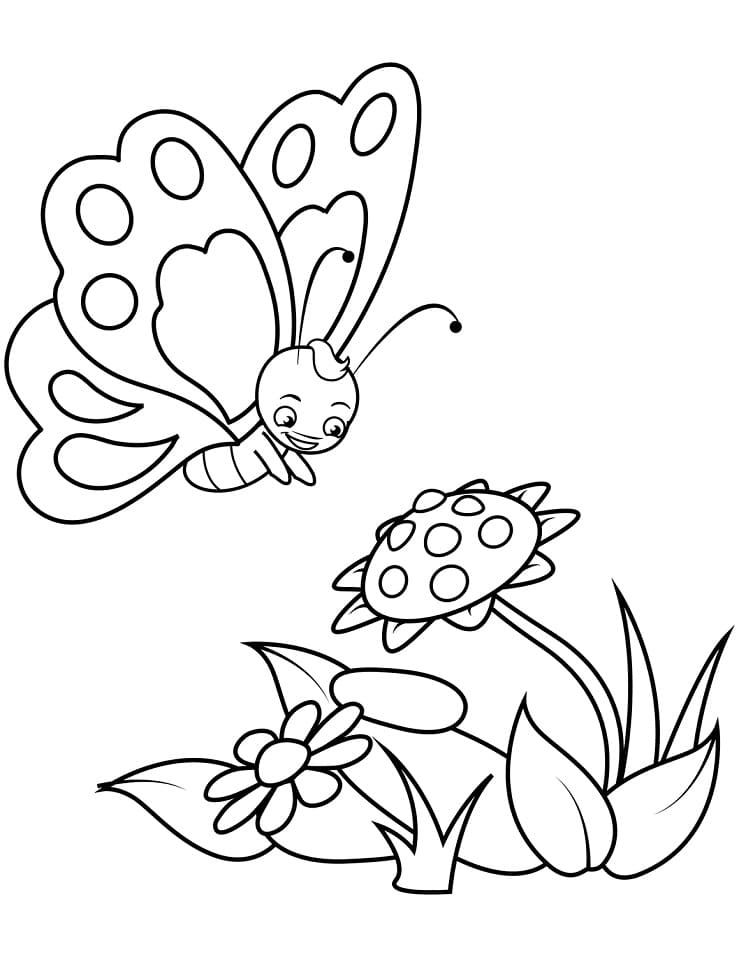 A Cute Butterfly Coloring Page