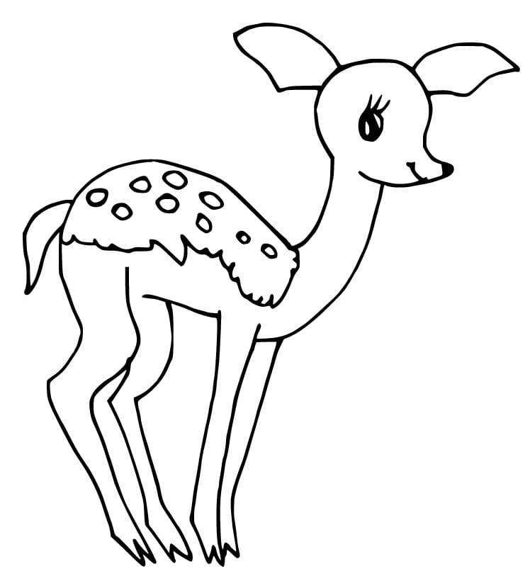 A Cute Fawn Coloring Page