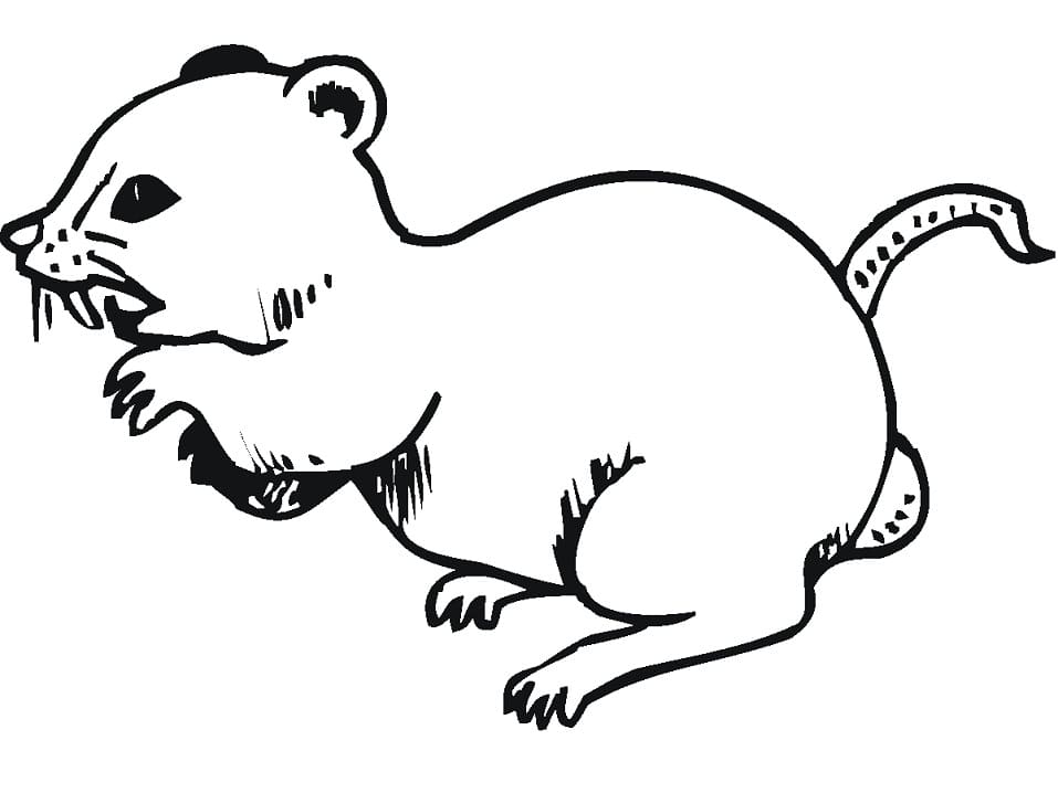 Angry Rat Coloring Page