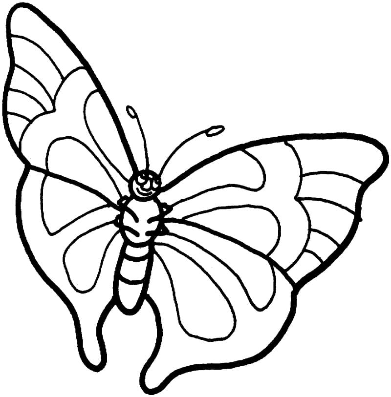 Animated Butterfly Coloring Page