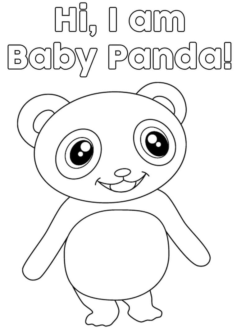 Baby Panda Little Baby Bum