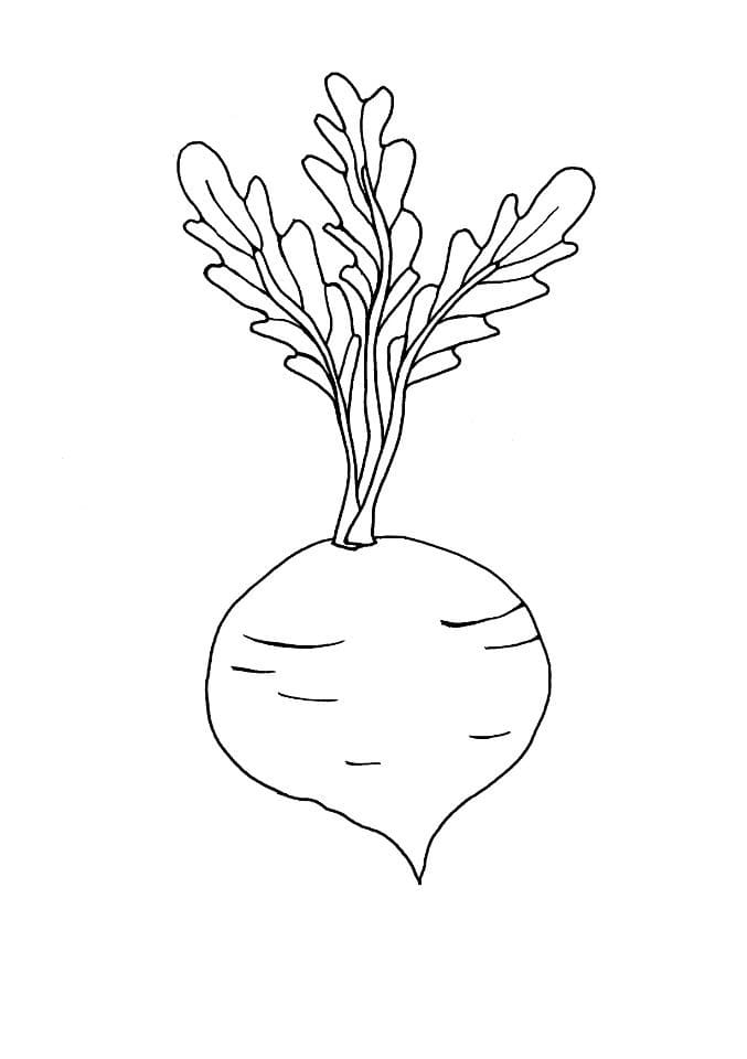 Beetroot 3 Coloring Page