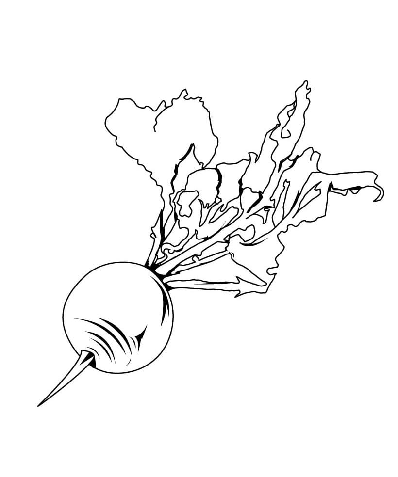 Beetroot 4 Coloring Page