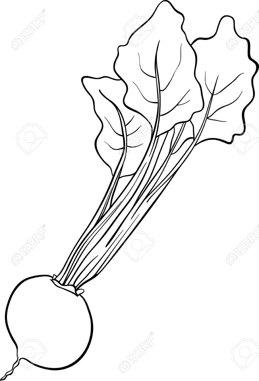 Beetroot 6 Coloring Page