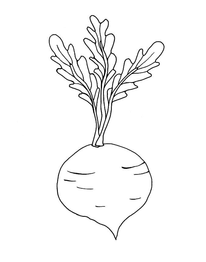 Beetroot 7 Coloring Page