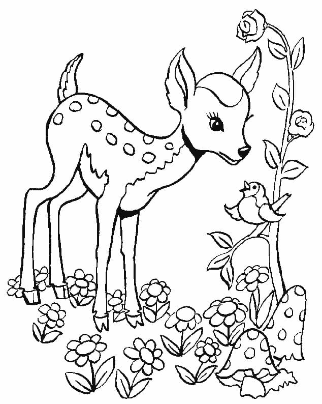 Bird and Fawn Coloring Page