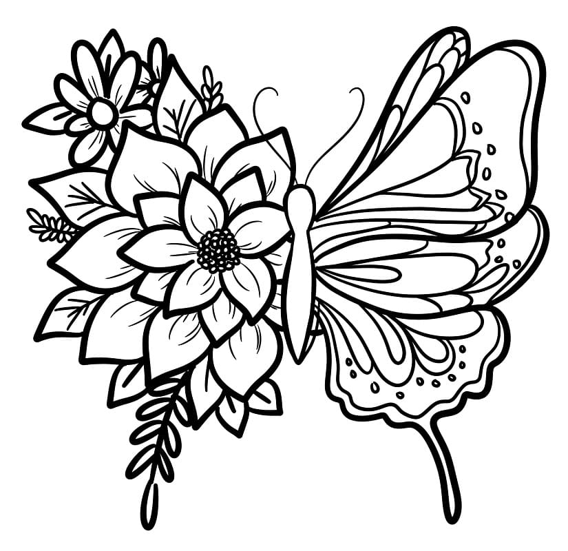 Butterfly 1 Coloring Page