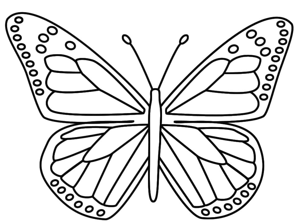 Butterfly 2 Coloring Page