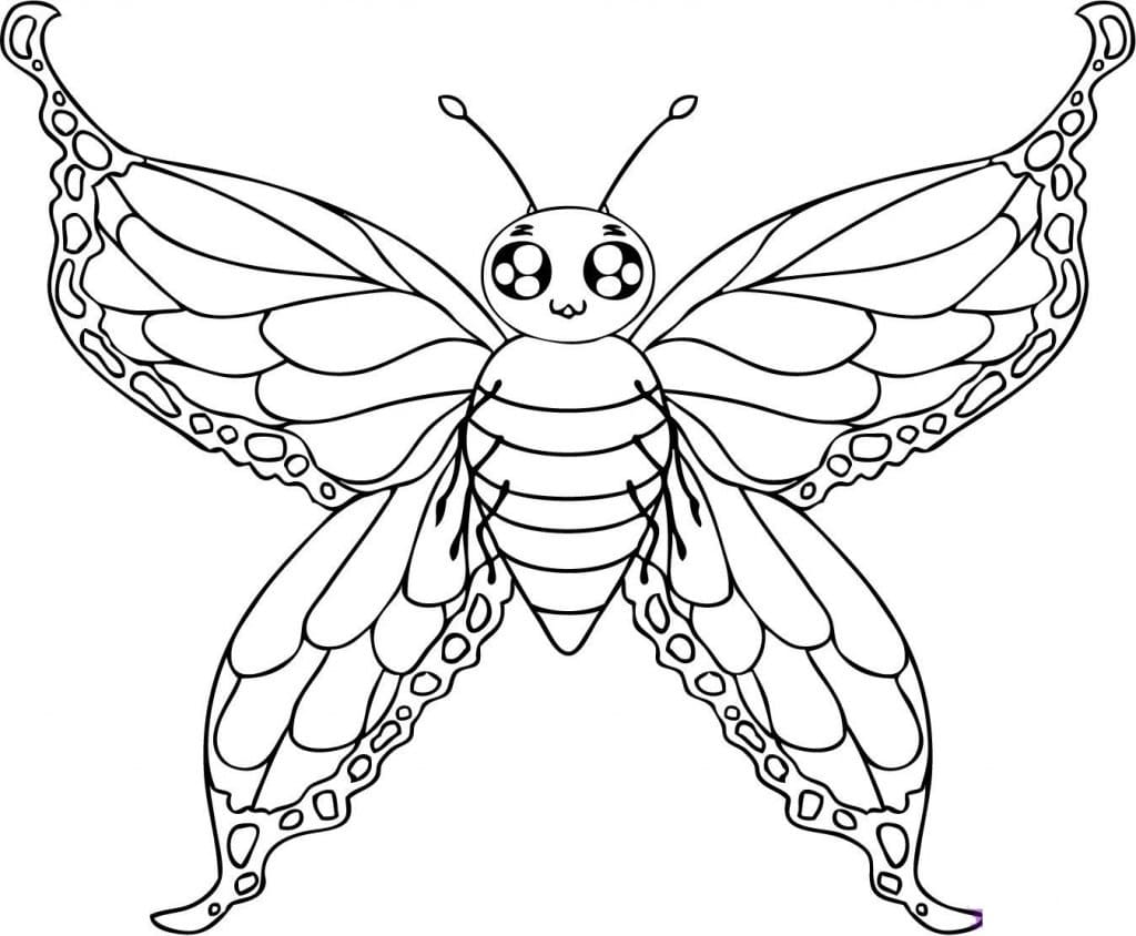 Butterfly 6 Coloring Page