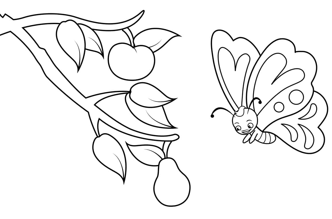Butterfly and Fruits Coloring Page