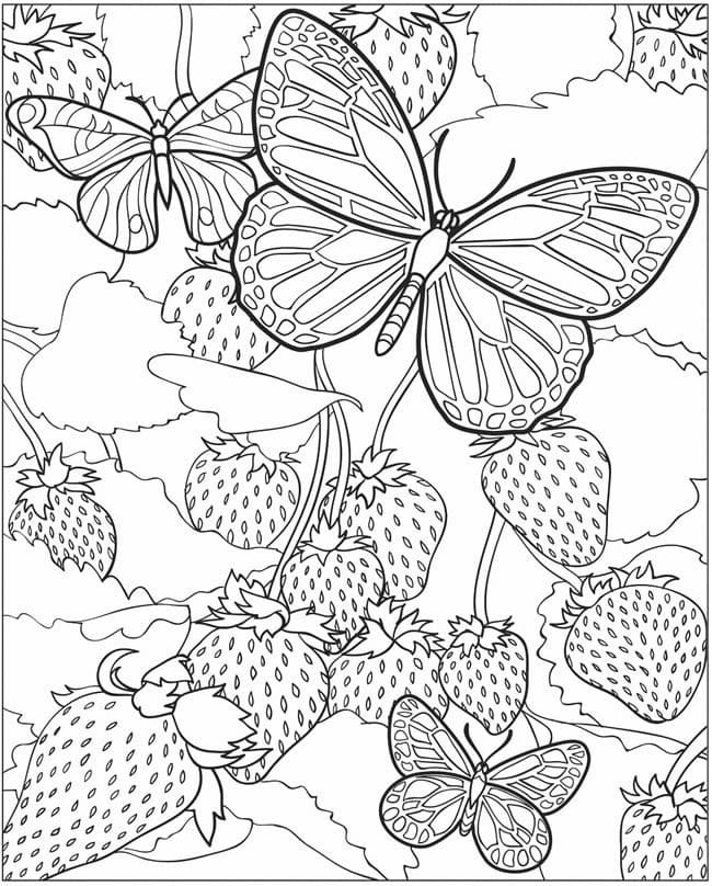 Butterfly and Strawberries Coloring Page