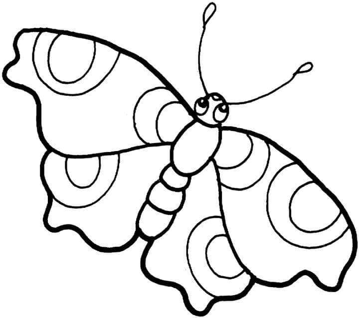 Butterfly for Free Coloring Page