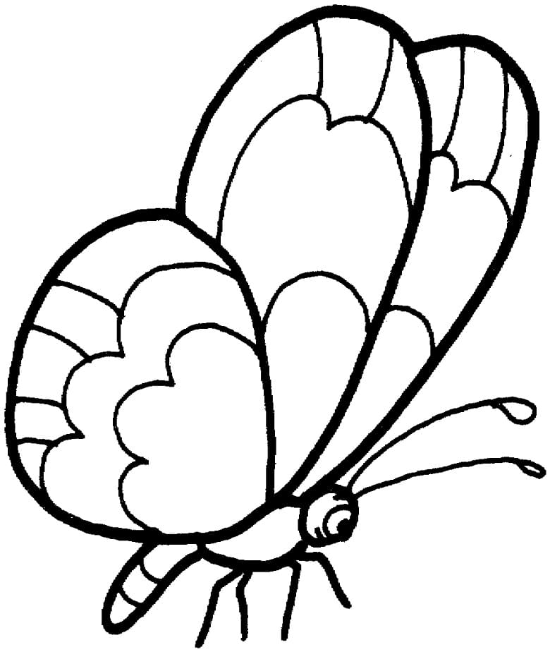 Butterfly for Kid Coloring Page
