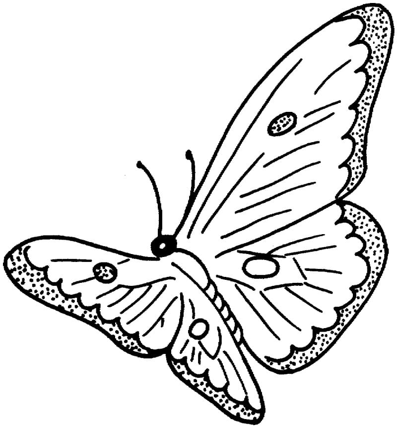 Butterfly is Flying Coloring Page