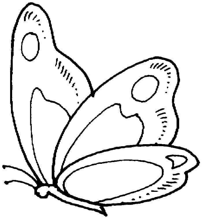 Butterfly to Color Coloring Page