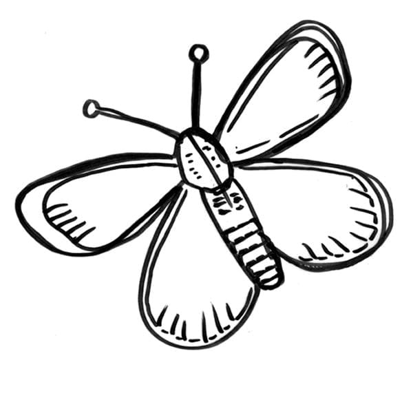 Butterfly’s Drawing Coloring Page