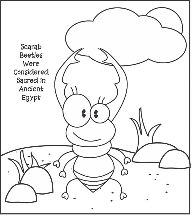 Cartoon Scarab Beetle