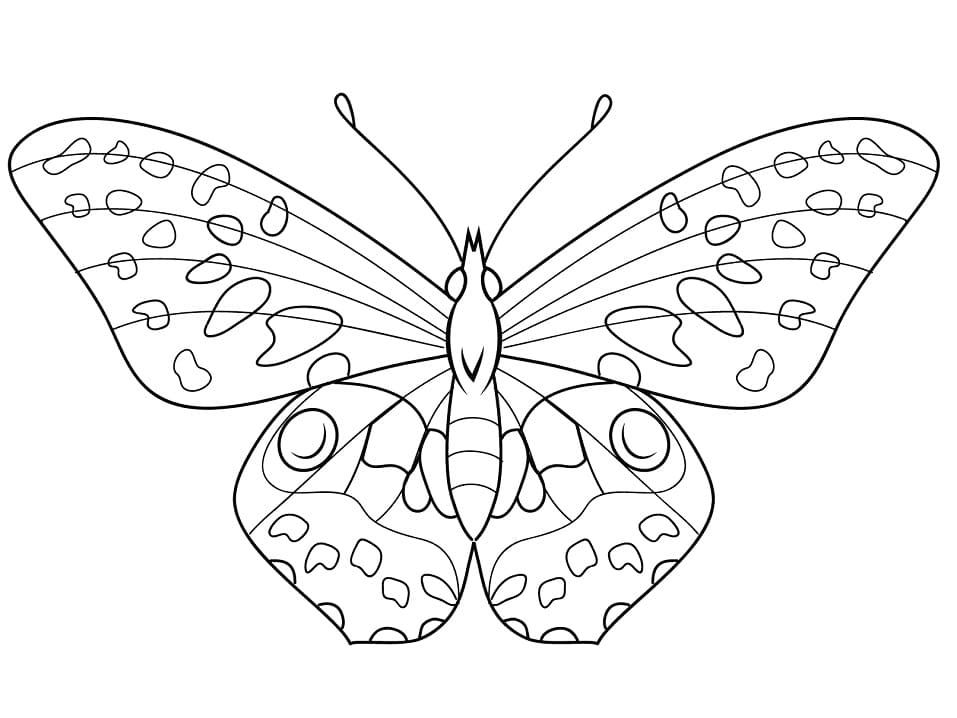 Cool Butterfly Coloring Page