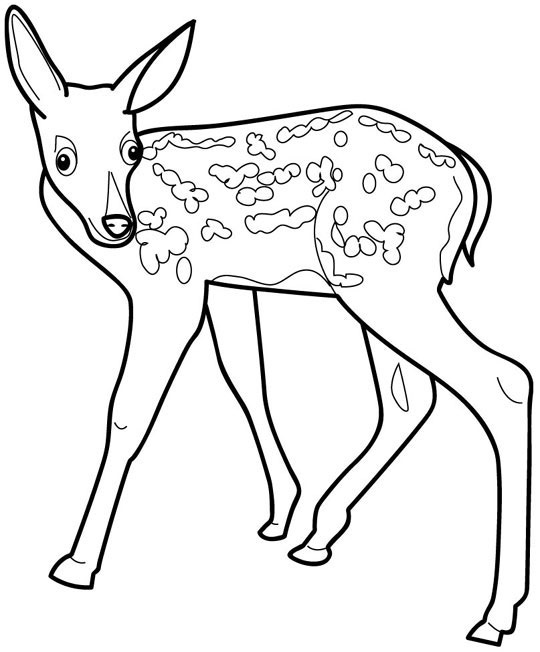 Crazy Fawn Coloring Page